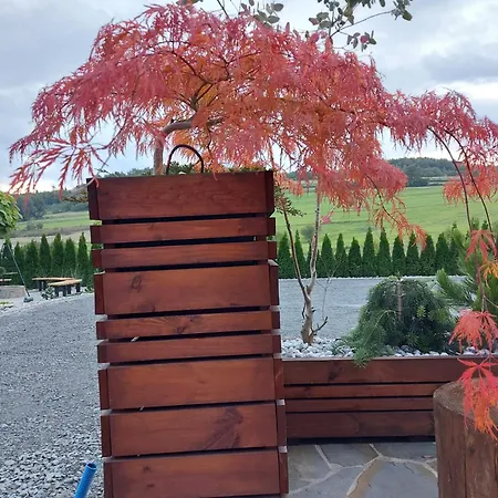 Dwor Bysina * Myślenice